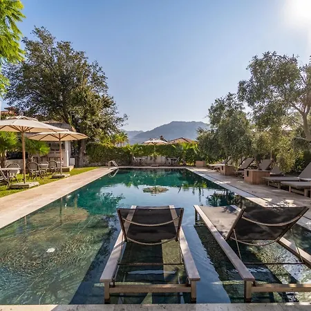 Hotel Massi Near The Sea